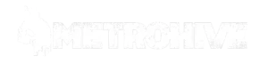 Logo of metrohive studio